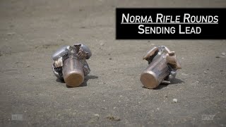 Norma Oryx and TIPSTRIKE  Ballistic Test [upl. by Rednav]