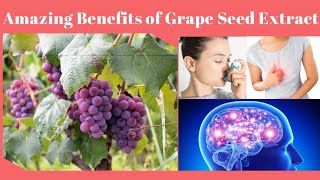 Benefits of Grape Seed Extract [upl. by Kersten]