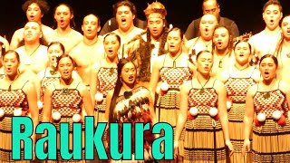 Kapa Haka performance  Raukura  Matariki festival 2019 [upl. by Darius]