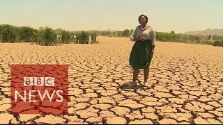 Worst drought in 30 years hits Sout Africa  BBC News [upl. by Ruvolo]