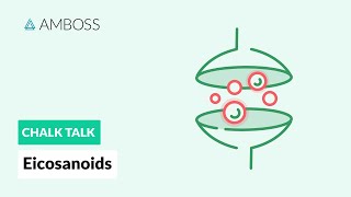 Eicosanoids Formation Function and Subclasses [upl. by Ahsiuqat638]