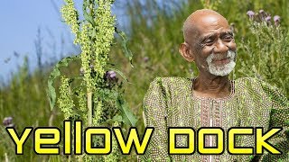 Dr Sebi Explains Benefits of Yellow Dock And Burdock [upl. by Yecart]