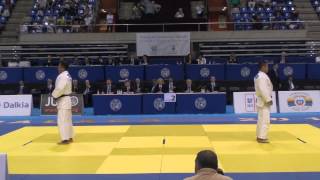 World Judo Kata Championship MALAGA NageNoKata Japan MSakamoto amp T Yokoyama [upl. by Amehsat959]