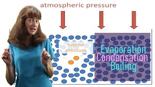 Evaporation condensation and boiling [upl. by Miun]