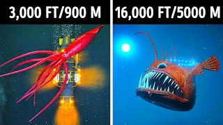 Fascinating 3D Journey to the Ocean Depths [upl. by Rancell]