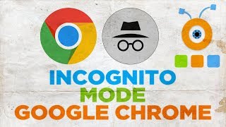 How to Use Incognito Mode on Google Chrome  Enable Incognito Mode in Google Chrome [upl. by Potter]