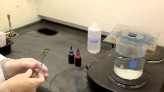 Endospore stain procedure [upl. by Annai370]