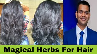 2 Magical Herbs For Hair Growth  Dr Vivek Joshi [upl. by Nashner]