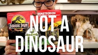 Dimetrodon is Not A Dinosaur [upl. by Acinomed842]