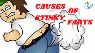 Excessive Flatulence FARTING Help is here  Dr Doug Willen [upl. by Giffer269]