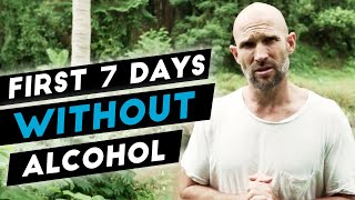 What Happens In The First 7  10 Days After You Quit Drinking Alcohol [upl. by Orianna]