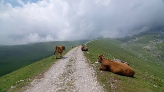 Crossing Picos de Europa  Indoor Cycling Training [upl. by Albur469]