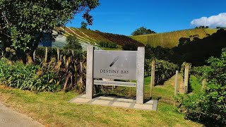 Destiny Bay Vineyard amp Winery Tour Full Tour [upl. by Ossy]