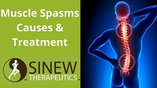 Low Back Spasm  Why and What to do About it [upl. by Sanger]