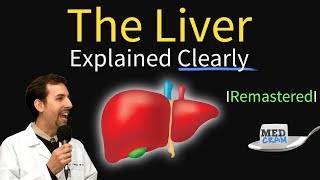 Liver Explained Function Pathology Diseases amp Cirrhosis [upl. by Annamaria345]