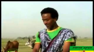 Melaku Nigus track 4 2013 New Ethiopian music Rayan Music Wollo Music Ethiopian Music [upl. by Agostino198]