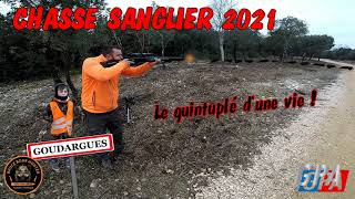 CHASSE SANGLIER 2021  Le quintuplé dune vie [upl. by Anaigroeg]