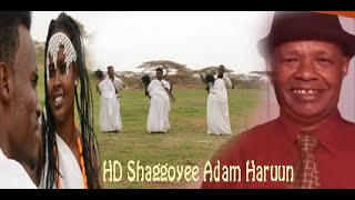 New Aadam Haruun Shaggoye 2020 HD [upl. by Nike824]