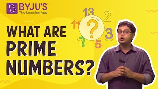 Prime Numbers  Introduction With Examples [upl. by Air]