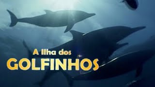 A Ilha dos GolfinhosRotadores DOCUMENTÁRIO COMPLETO  Fernando de Noronha  Lawrence Wahba [upl. by Dilks]