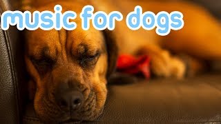 10 HOURS Deep Separation Anxiety Music for Dogs Chill Your Dog 247 [upl. by Enoval423]