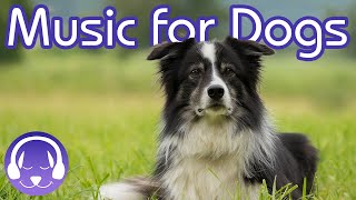 15 Hours of Soothing Dog Therapy Music  INSTANTLY Calm My Dog Down TESTED [upl. by Brindell322]