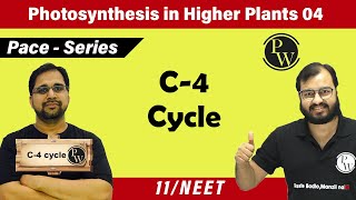 Photosynthesis in higher Plants 04  C4 Cycle  Class 11  NEET  Pace Series [upl. by Rinee]