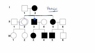 Pedigrí  Khan Academy en Español [upl. by Nyrroc366]