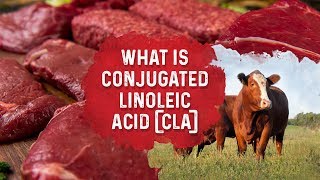 What Is Conjugated Linoleic Acid – Dr Berg [upl. by Chenee]