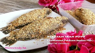 Cara buat sendiri PEKASAM IKAN PUYU  Homemade  Fermented Pkasam Anabas Fish  Resepi Alexiswandy [upl. by Alamac]