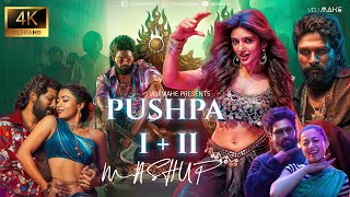 Pushpa I amp Pushpa II  Mega Mashup  DJ Dalal amp VDJ Mahe  Srivalli  O Antava  Kissik amp More [upl. by Roda]