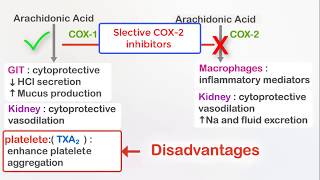 PatientPharmacist Interaction on NSAID Avoidance [upl. by Edlin]