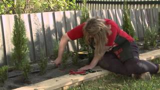 How To Install Irrigation Sprayers And Drippers  DIY At Bunnings [upl. by Varney]