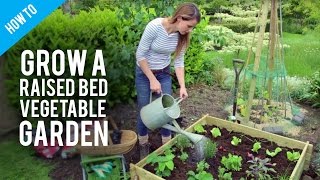 How to grow vegetables in raised bed gardens [upl. by Sobel]