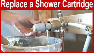 How to Replace a Delta Shower Cartridge [upl. by Grosmark60]