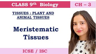 Meristematic Tissues [upl. by Eldreeda]