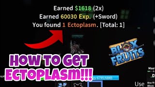 How to Get ECTOPLASM in Blox Fruits Update 12 [upl. by Aerdnaek]