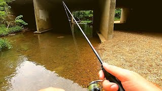 Ultralight Creek Fishing with TINY Crankbait [upl. by Care]