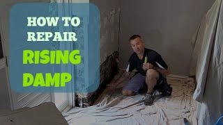 How To Repair Rising Damp In A Wall [upl. by Idur]