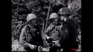 Cease Fire  1953 Korean War Film [upl. by Ailel]