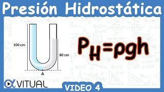 🐳 Presión Hidrostática  Video 4 [upl. by Nonna]