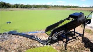 Duckweed Skimmer with Proskim [upl. by Caundra649]