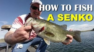 How To Fish A Senko  Bass Fishing [upl. by Tillford421]