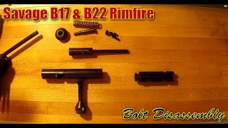 Savage B17 amp B22 Bolt Disassembly amp Reassembly [upl. by Anits941]