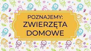 Edukacja zdalna  Poznajemy ZWIERZĘTA DOMOWE [upl. by Beth481]