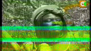 Life and Times of Wangari Maathai [upl. by Eserahc]