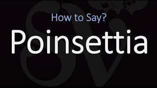 How to Pronounce Poinsettia CORRECTLY [upl. by Ylloh713]