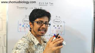 ELISA test procedure  what is elisa assay [upl. by Asiluy]