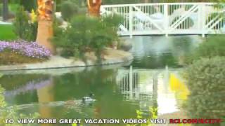 Palm Springs Vacations  WorldMark Indio [upl. by Machute]