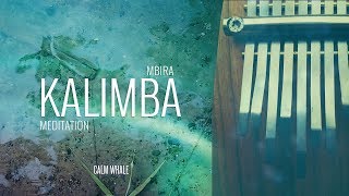 Beautiful Kalimba Meditation 3 HOURS remastered Calm Whale [upl. by Erdda168]